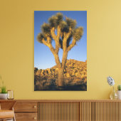 Joshua Tree, Yucca brevifolia) und Granit Leinwanddruck (Insitu (Wohnzimmer))