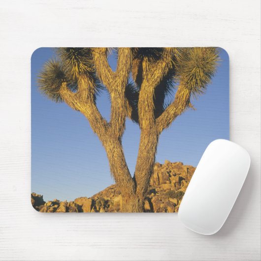 Joshua Tree, Yucca brevifolia) und Granit Mousepad (Mit Mouse)