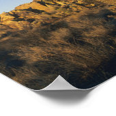 Joshua Tree, Yucca brevifolia) und Granit Poster (Ecke)