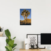 Joshua Tree, Yucca brevifolia) und Granit Poster (Heimbüro)