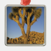 Joshua Tree, Yucca brevifolia) und Granit Silbernes Ornament (Vorne)