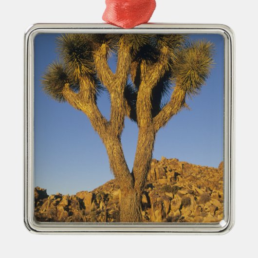 Joshua Tree, Yucca brevifolia) und Granit Silbernes Ornament (Vorne)