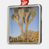 Joshua Tree, Yucca brevifolia) und Granit Silbernes Ornament (Links)