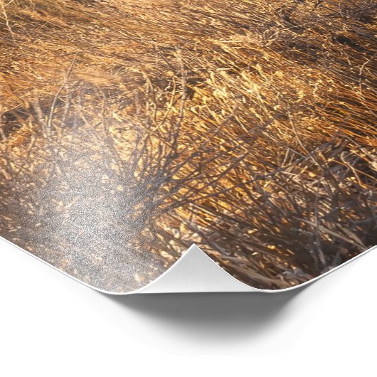 Joshua Trees Fotodruck (Ecke)