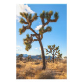 Joshua Trees Fotodruck (Vorne)