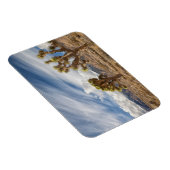 Joshua Trees in der Wüste Magnet (Rechte Seite)