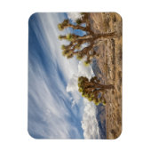Joshua Trees in der Wüste Magnet (Vertikal)