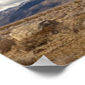 Joshua Trees in der Wüste Poster (Ecke)