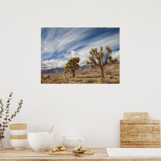 Joshua Trees in der Wüste Poster (Küche)