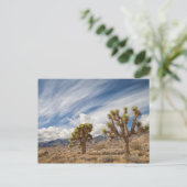 Joshua Trees in der Wüste Postkarte (Stehend Vorderseite)