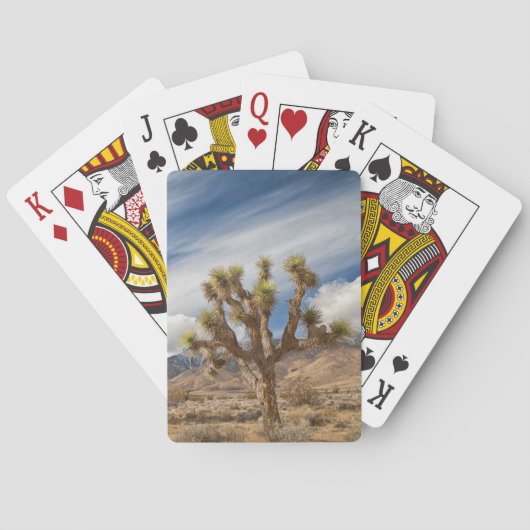 Joshua Trees in der Wüste Spielkarten (Rückseite)