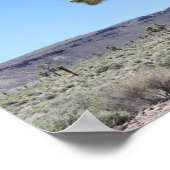Joshua Trees in Goldfield, Nevada Wüste Poster (Ecke)