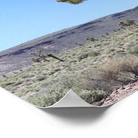 Joshua Trees in Goldfield, Nevada Wüste Poster (Ecke)