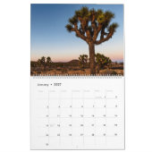Joshua Trees Kalender (Jan 2027)