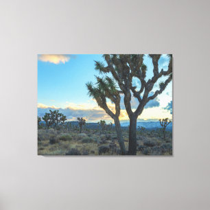 Joshua Trees Landschaft bei Sunset Leinwanddruck