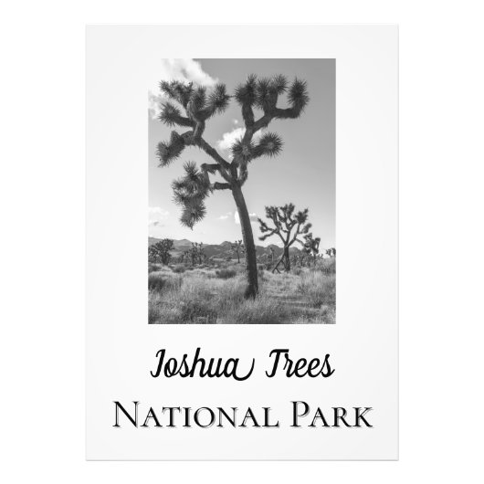 Joshua Trees Nationalpark Fotodruck (Vorne)