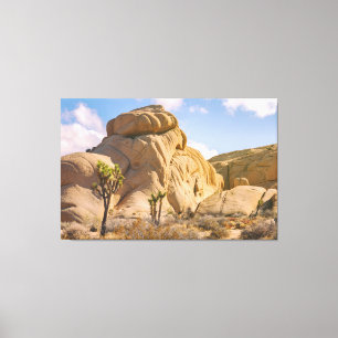 Joshua Trees Nationalpark Landschaft Leinwanddruck