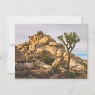 Joshua Trees Nationalpark Landschaft Postkarte