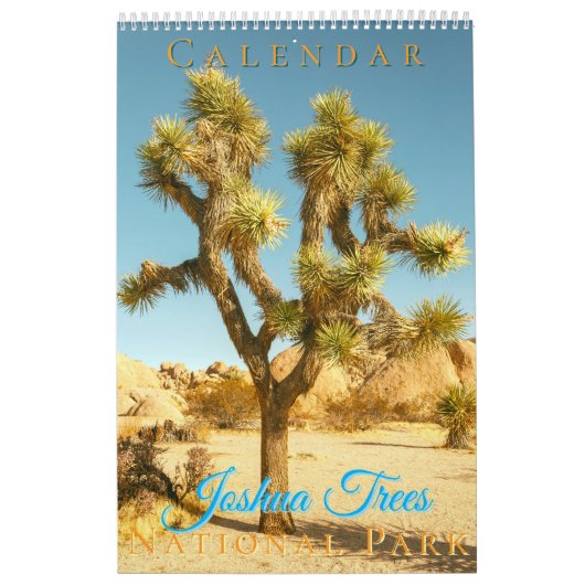 Joshua Trees Nationalpark Landschaften Landschaft Kalender (Titelbild)
