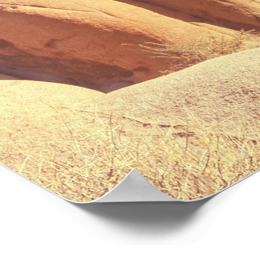 Joshua Trees Nationalpark Landschaftslandschaft Poster (Ecke)