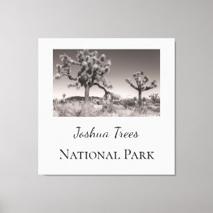 Joshua Trees Nationalpark Leinwanddruck