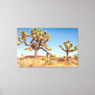 Joshua Trees Nationalpark Leinwanddruck