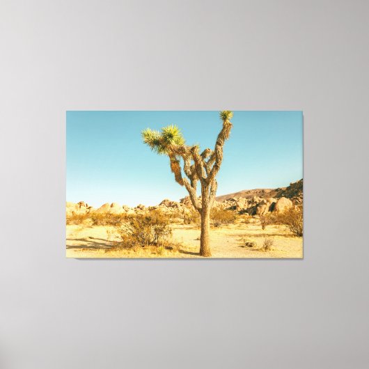 Joshua Trees Nationalpark Leinwanddruck (Vorderseite)