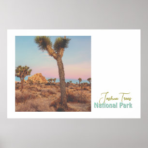 Joshua Trees Nationalpark Poster