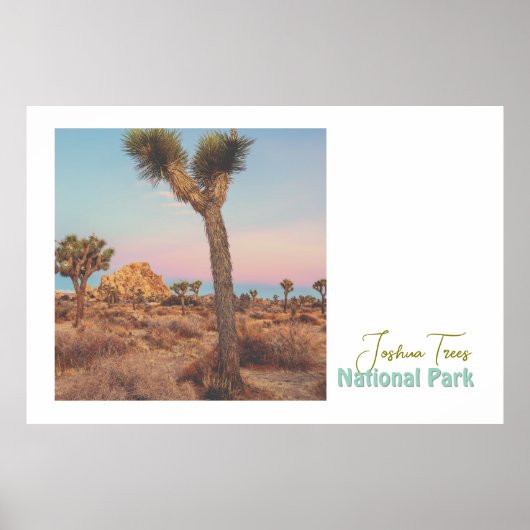 Joshua Trees Nationalpark Poster (Vorne)