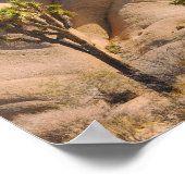 Joshua Trees Nationalpark Poster (Ecke)