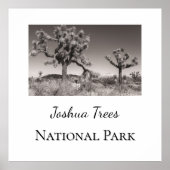 Joshua Trees Nationalpark Poster (Vorne)