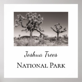 Joshua Trees Nationalpark Poster