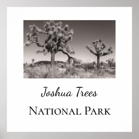 Joshua Trees Nationalpark Poster (Vorne)