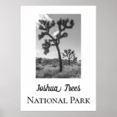 Joshua Trees Nationalpark Poster (Vorne)