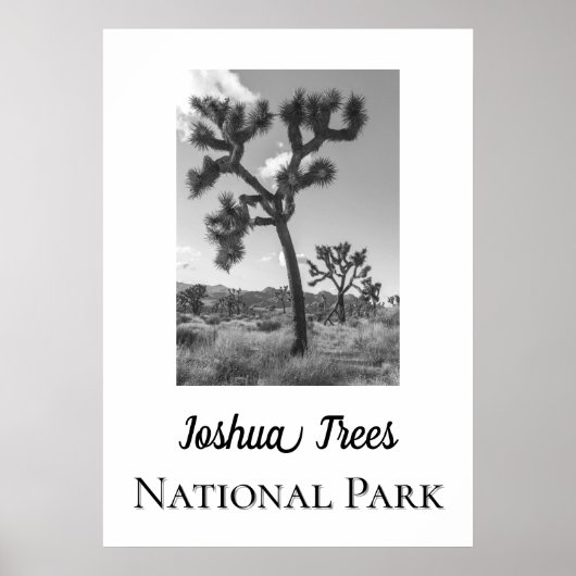 Joshua Trees Nationalpark Poster (Vorne)