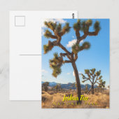 Joshua-Trees-Nationalpark Postkarte (Vorne/Hinten)