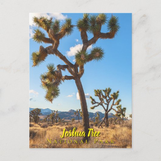 Joshua-Trees-Nationalpark Postkarte (Vorderseite)
