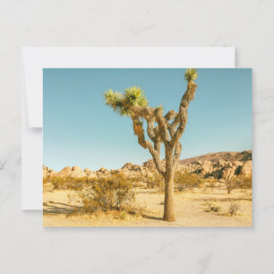 Joshua Trees Nationalparklandschaft Postkarte