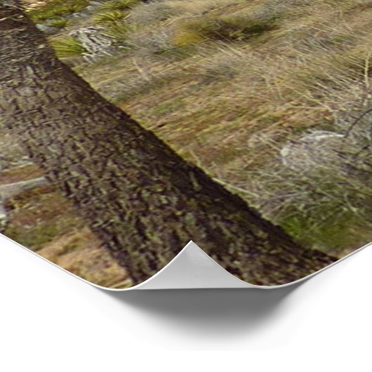 Joshua Trees und Blue Sky Wüste Landschaft Poster (Ecke)