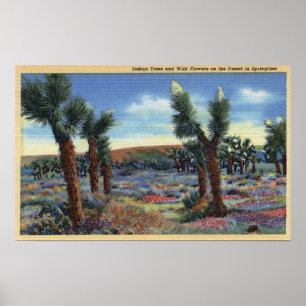 Joshua Trees und Wüste Wild Blume View Poster