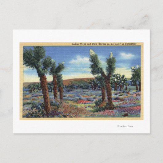 Joshua Trees und Wüste Wild Blume View Postkarte (Vorderseite)