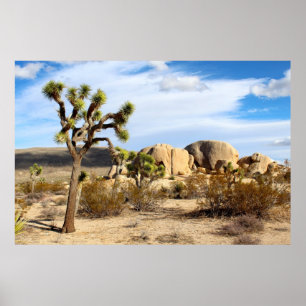 Joshue tree beautiful scenery poster