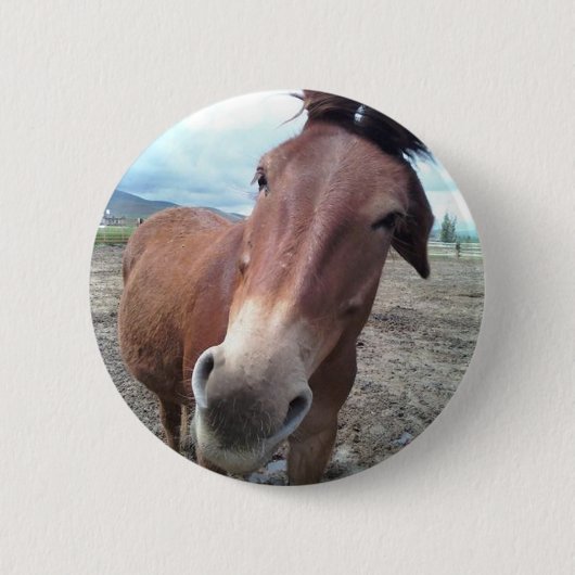 Josie, das lustige Maultier Button (Vorderseite)
