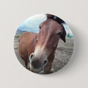 Josie, das lustige Maultier Button