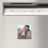 Josie the Mule Magnet (In Situ (Geschirrspüler))