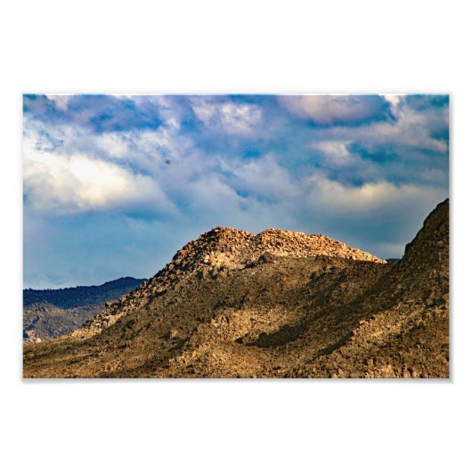 Josua-Baum Fotodruck (Vorne)