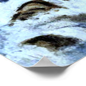 Jotham's Island (jetzt Fox), vor Indian Point Poster (Ecke)