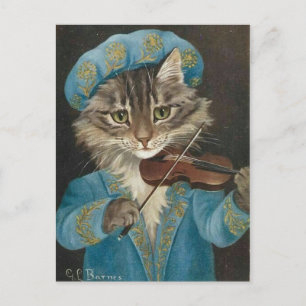 Joueur de violon Chat Postkarte