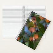 Journal - Herbst Notizblock (Innen)