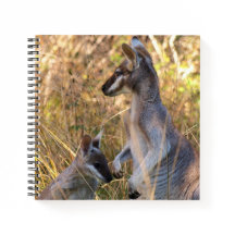 Journal mit Koala und Wallabies in Australien